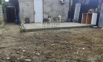 Imagem 3: Vende-se terreno