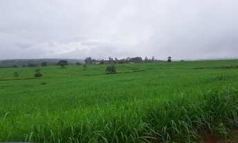 Imagem 6: FAZENDA EM RIBEIRAO CASCALHEIRA MT