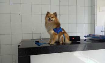 Imagem 7: Charmoso apt ótima localização no Janga, com excelente área de lazer