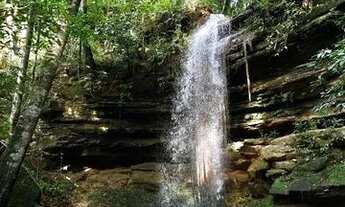 Imagem 4: Vende-se Chácara próxima onde deverá ser construído o Cristo - M. do Chapéu - Palma/TO