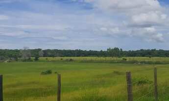 Imagem 6: 58 Alqueires em Vila do Riachom, às margens da ES 010