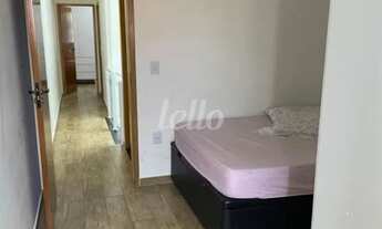 Imagem 7: São Paulo - Casa Padrão - Vila Alpina