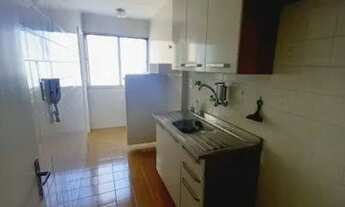 Imagem 7: Apartamento para Locação na Vila Mascote