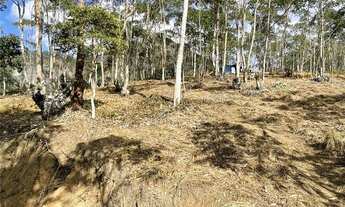 Imagem 2: Lindo terreno pronto para sua construção!