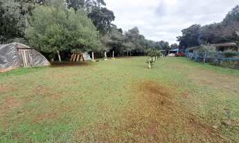 Imagem 2: Vendo Chácara com 7440m2 na cidade de Campo Novo rs