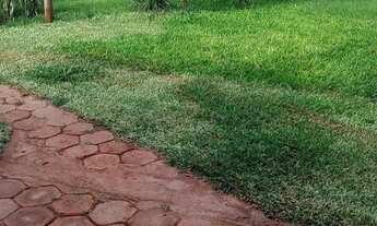 Imagem 1: Sítio com casa nova água e luz estalado a 5km de Senador Modestino Gonçalves