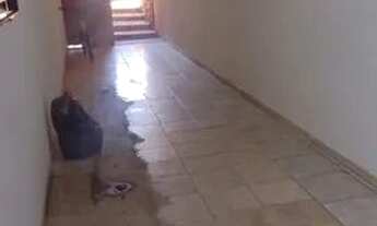 Imagem 5: Essa Casa Casa com 2 dormitórios