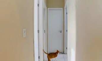 Imagem 7: Apartamento para Aluguel - Vila Mazzei, 3 Quartos, 60 m2