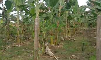 Imagem 6: Sítio Chácara com venda por R$350.000