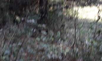 Imagem 4: OPORTUNIDADE PARA VOCÊ INVESTIDOR! REF: 628