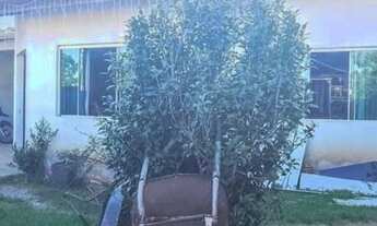 Imagem 4: Matinhos - Casa Padrão - Centro