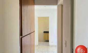 Imagem 5: São Paulo - Apartamento Padrão - Santana