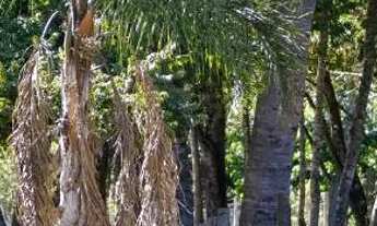 Imagem 3: Lote em Condominio C/ 10 Lagos e 1.898m² de terreno