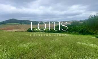 Imagem 4: 86C- COTIA COM NOVOS LOTES NO MERCADO