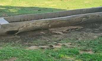 Imagem 4: Fazenda no Pantanal Barão de Melgaço (MT) 12.649 HA, cria, recria e engorda, beira do Ri