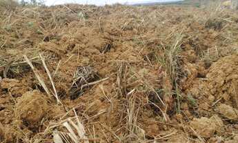 Imagem 5: FAZENDA À VENDA OU ARRENDAMENTO COM 55 HECTARES, NO ALTO PARANAÍBA!!