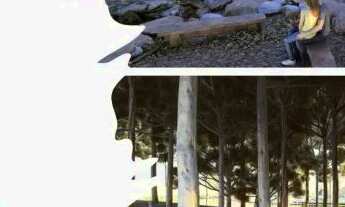 Imagem 7: SEU REFÚGIO NO CAMPO! DENTRO DE UM BELO CONDOMÍNIO NA FAZENDA BREJO, A 48 km DE MACEIÓ