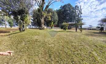 Imagem 3: Refúgio Perfeito: Chácara Espetacular em Ronda Alta