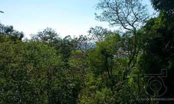 Imagem 7: Terreno em Jardim Peri Peri / Rolinópolis - São Paulo