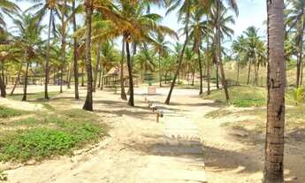 Imagem 7: LOTE NO THAI RESIDENCE