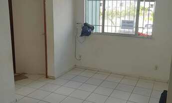 Imagem 4: Apartamento térreo em Rio doce