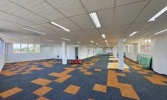 Imagem 2: Ampla Sala Comercial para Locação com 447m² Itoupava Norte, Blumenau/SC