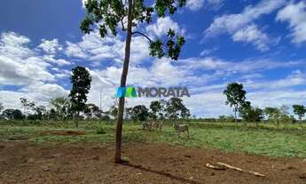 Imagem 6: FAZENDA À VENDA - 1.400 HECTARES - CURVELO (MG