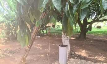 Imagem 2: Venda de Rural / Chácara na cidade de Araraquara