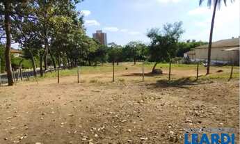 Imagem 15: TERRENO - Vila Nova - SP