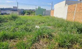 Imagem 5: Terreno mirassol