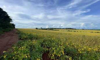 Imagem 7: Fazenda a Venda - Itaberaí - GO