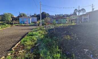 Imagem 6: Terreno de Oportunidade em Três Palmeiras