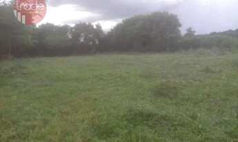 Imagem 6: Terreno, 6000 m² - venda por R$ 3.200.000,00 ou aluguel por R$ 3.500,00/mês - Campos Elíse