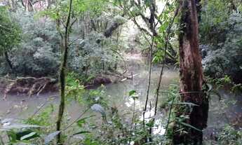 Imagem 5: Área para chácara