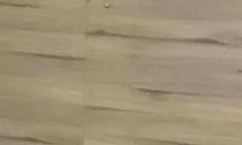 Imagem 7: Casa à venda no bairro Plano Diretor Sul - Palmas/TO