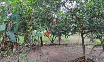 Imagem 2: Terreno à venda, 450 m² por R$ 241.500,02 - Engenho do Mato - Niterói/RJ