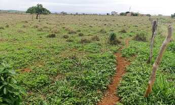 Imagem 4: Linda sítio a venda todo empastado