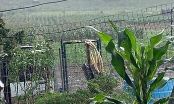 Imagem 4: CHÁCARA SETOR AGUILHADA SÃO SEBASTIÃO