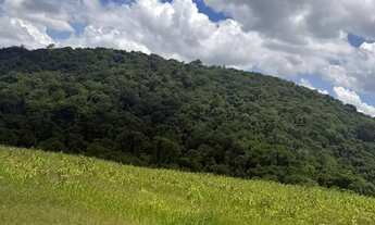 Imagem 3: Terrenos para venda possui 500 metros quadrados com 1 quarto em Colégio - Ibiúna - SP