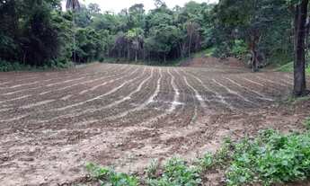 Imagem 4: SÍTIO NO DF Chácara com venda por R$700.000