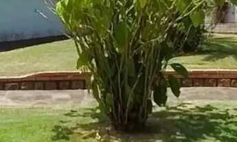 Imagem 4: Casa à venda em Nossa Senhora das Graças com 285 m², 4 quartos, 4 vagas