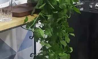 Imagem 3: Temporada Apartamento 2 qts, centro histórico de Petrópolis, R$ 600,00/dia