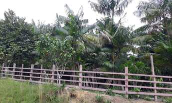 Imagem 7: Vende se esse sítio no rio preto da Eva km 91 medindo 40 por 1000