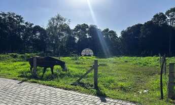 Imagem 3: Vendas Terreno Almirante Tamandaré PR