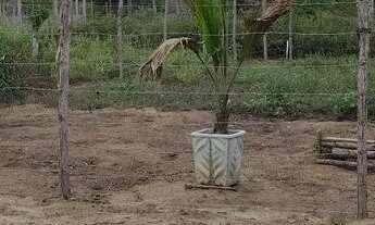 Imagem 7: Terreno em são José