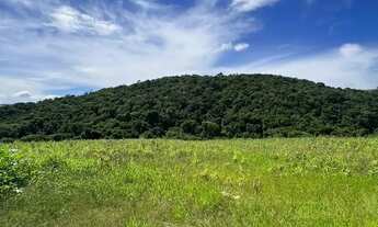 Imagem 6: Terrenos na cidade de Ibiúna - SP