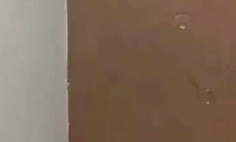 Imagem 3: Casa a Venda Casa com 1 dormitório