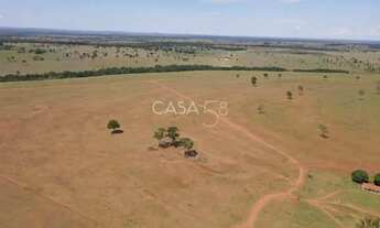 Imagem 3: Fazenda à Venda em Caçu, GO 1.614 Alqueires de Dupla Aptidão com Pastagem