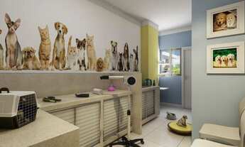 Imagem 6: Alto Santa Lúcia