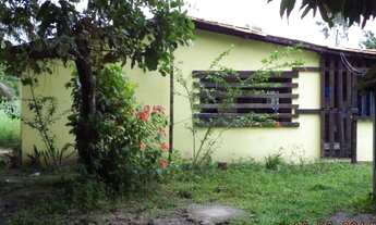 Imagem 6: Fazenda no Estado do Pará Com 300Ha, por R$1.8 milhões